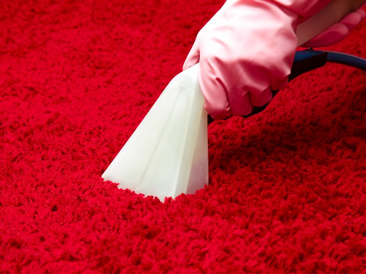 Textilreiniger Hand mit Handschuhen reinigt roten Teppich mit Staubsaugerdüse