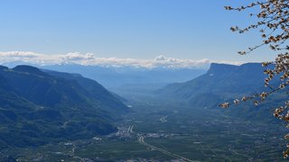 Webinare Tal mit grünen Bergen und blühendem Baum unter klarem blauem Himmel