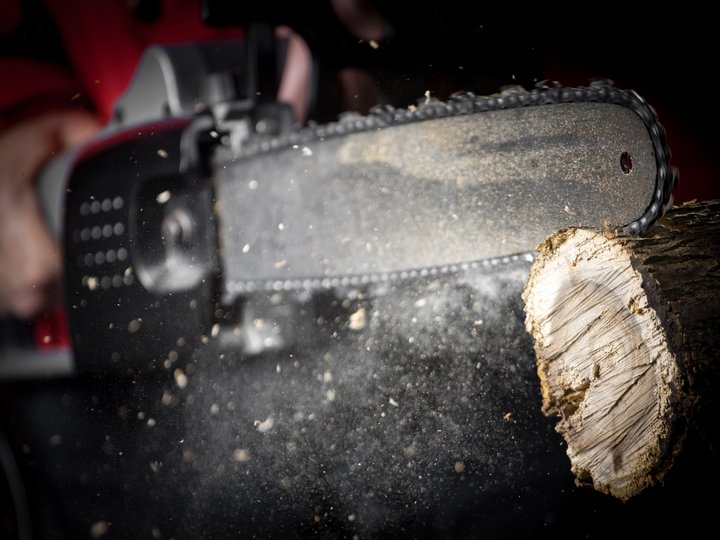 Waldarbeiter Kettensäge schneidet Holzstamm mit Staub und Spänen im Flug