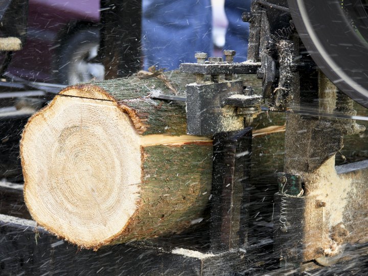 Sägewerker und Verpackungshersteller Sägen eines Baumstamms mit einer Bandsäge in einer Holzverarbeitungsanlage