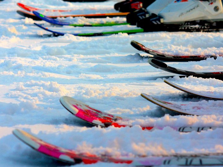 Sportgerätetechniker Mehrere Skier in der verschneiten Landschaft nebeneinander liegend.