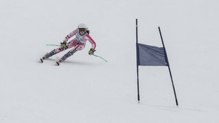 Manifestazioni Manifestazioni