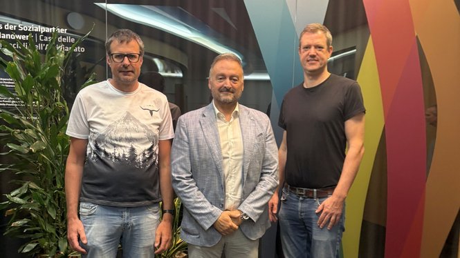 Home Drei Männer stehen vor einer bunten Wand und grünen Pflanzen